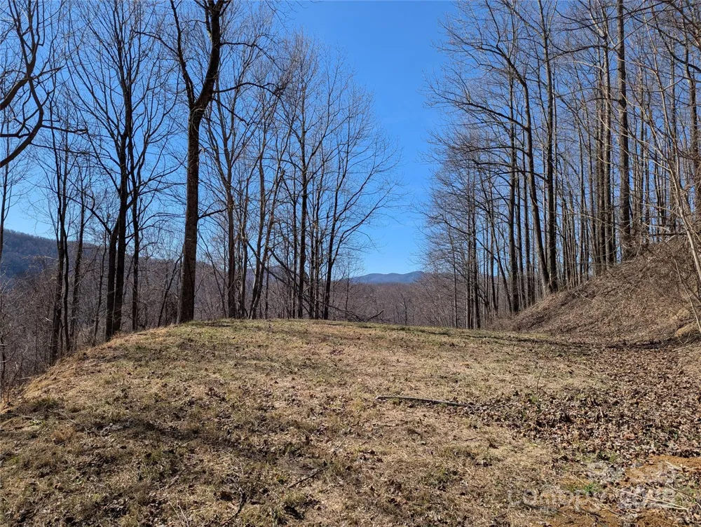501 Warbler Lane #T-62 Black Mountain, NC 28711