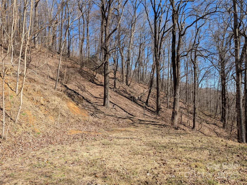 501 Warbler Lane #T-62 Black Mountain, NC 28711