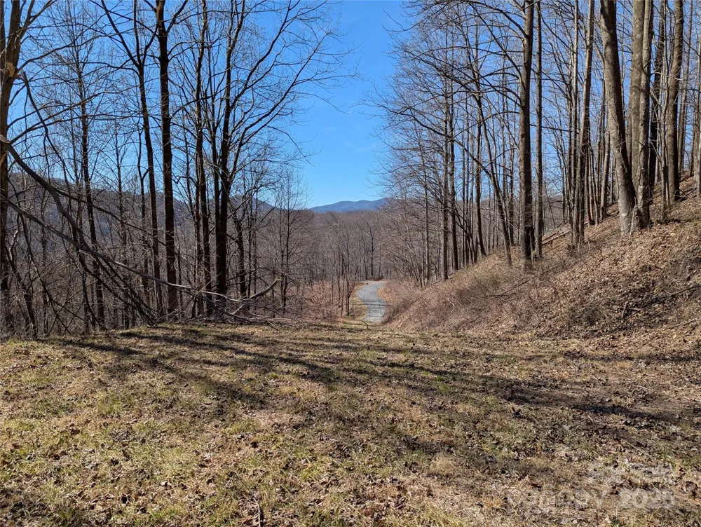 501 Warbler Lane #T-62 Black Mountain, NC 28711