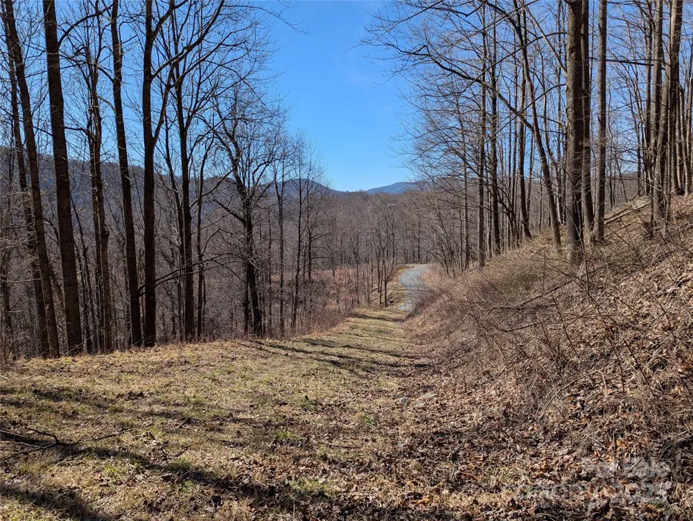 501 Warbler Lane #T-62 Black Mountain, NC 28711