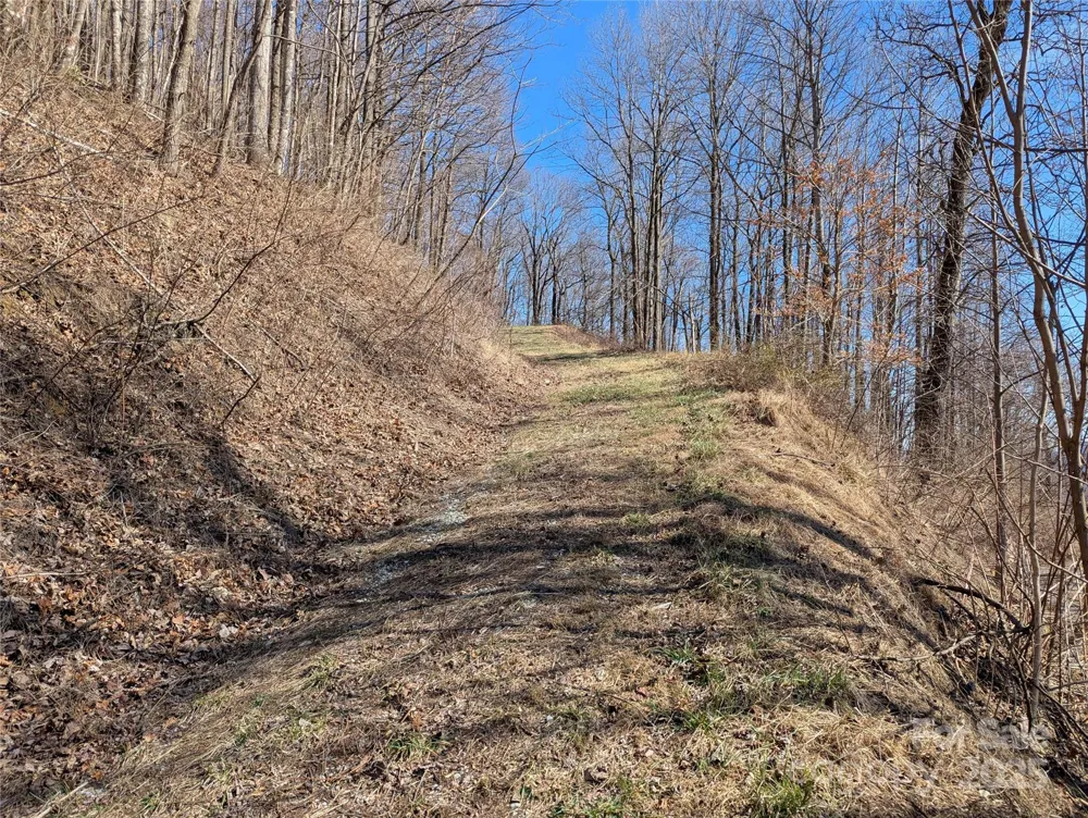 501 Warbler Lane #T-62 Black Mountain, NC 28711