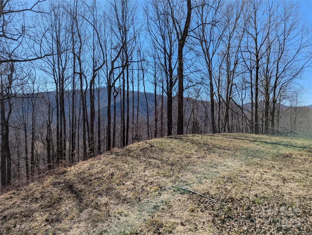 501 Warbler Lane #T-62 Black Mountain, NC 28711