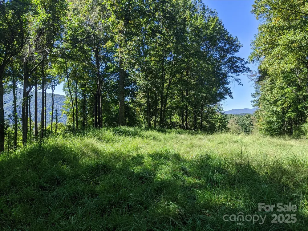 501 Warbler Lane #T-62 Black Mountain, NC 28711