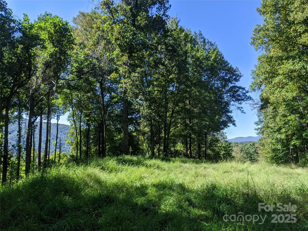 501 Warbler Lane #T-62 Black Mountain, NC 28711