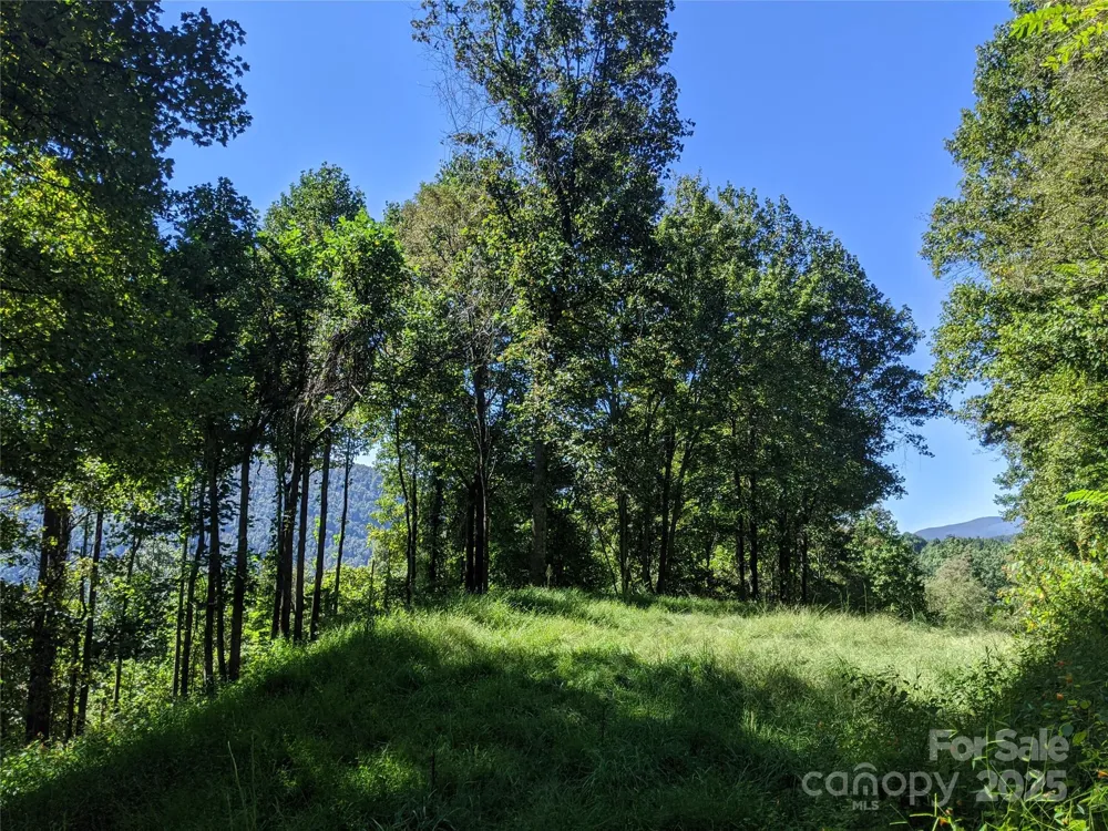 501 Warbler Lane #T-62 Black Mountain, NC 28711