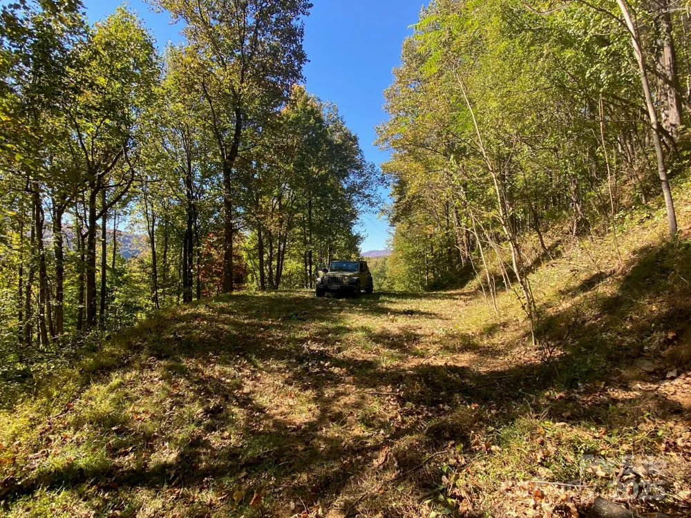 501 Warbler Lane #T-62 Black Mountain, NC 28711