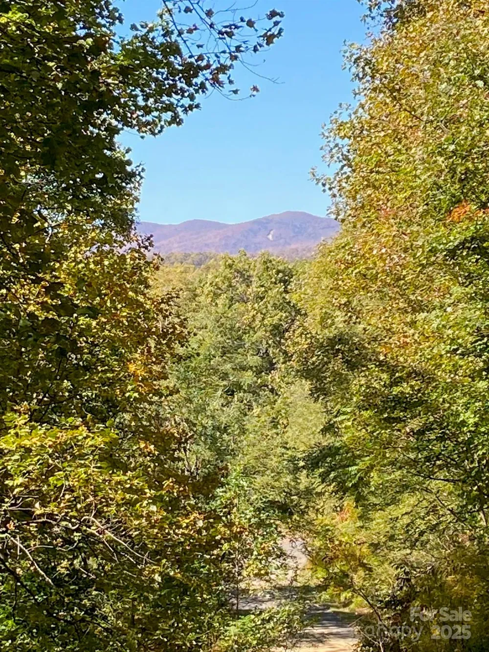 501 Warbler Lane #T-62 Black Mountain, NC 28711