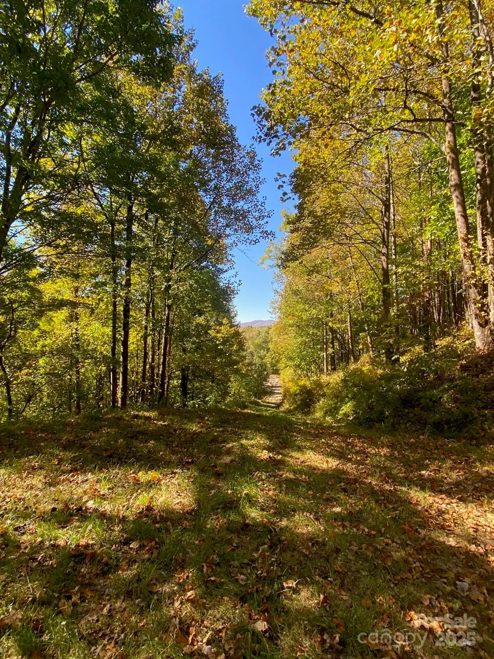 501 Warbler Lane #T-62 Black Mountain, NC 28711