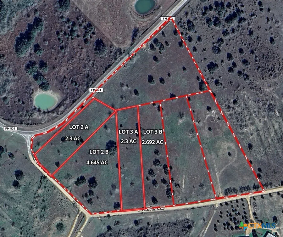 12211 Fm 531 #Tract 4 Hallettsville, TX 77964