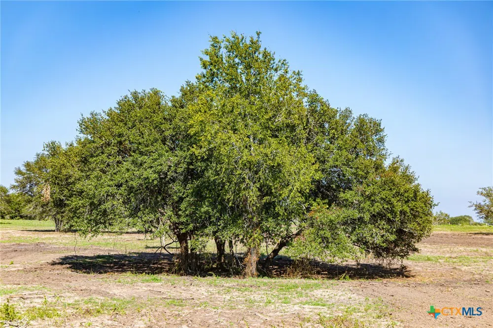 12211 Fm 531 #Tract 4 Hallettsville, TX 77964