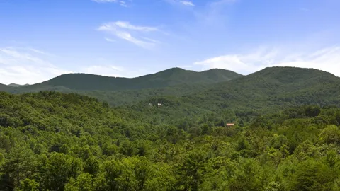 1AC Green Cove Road