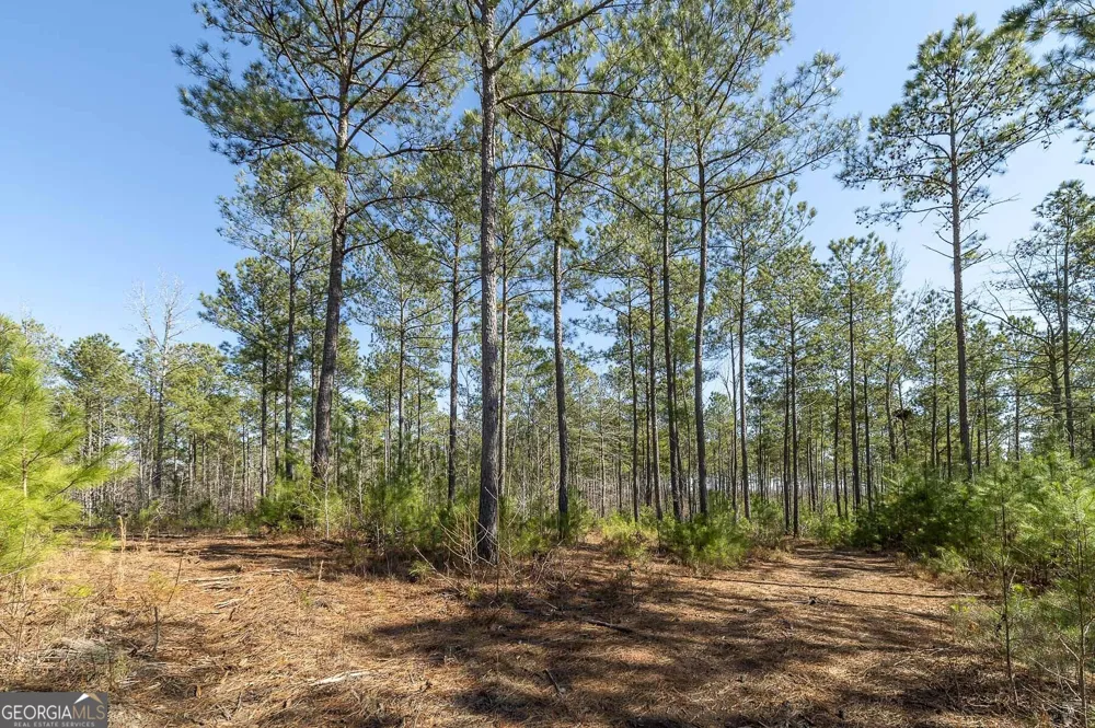 0 Dean Patrick RD Jackson, GA 30233