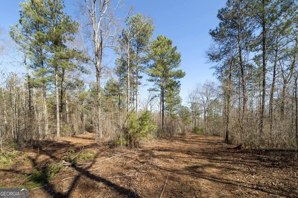 0 Dean Patrick RD Jackson, GA 30233