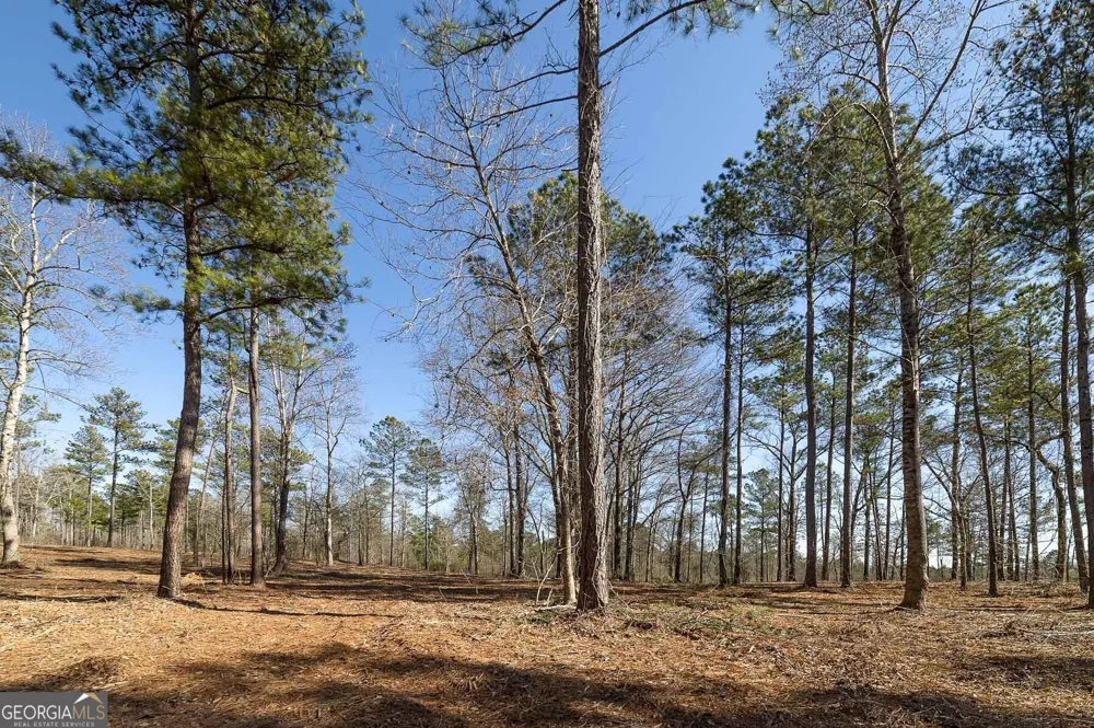 0 Dean Patrick RD Jackson, GA 30233