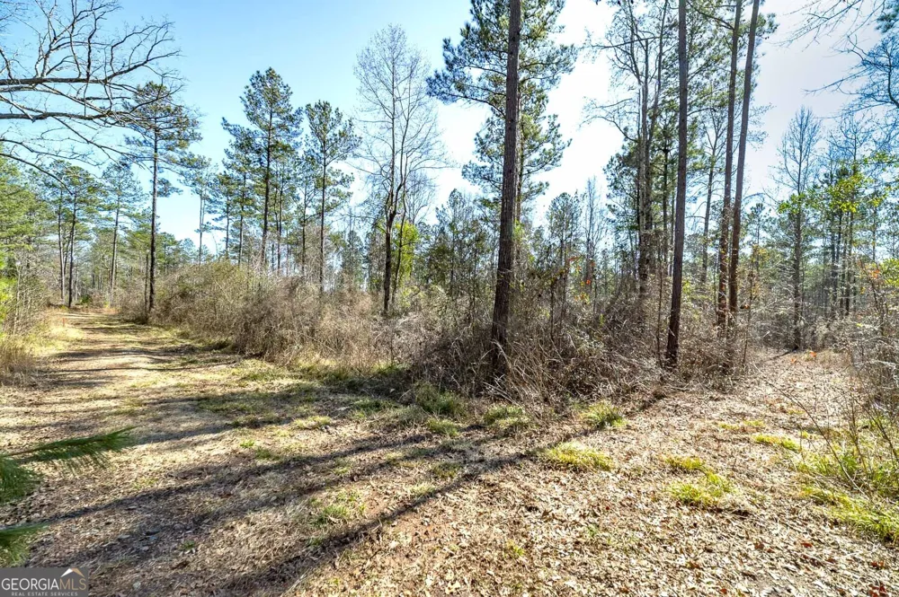 0 Dean Patrick RD Jackson, GA 30233