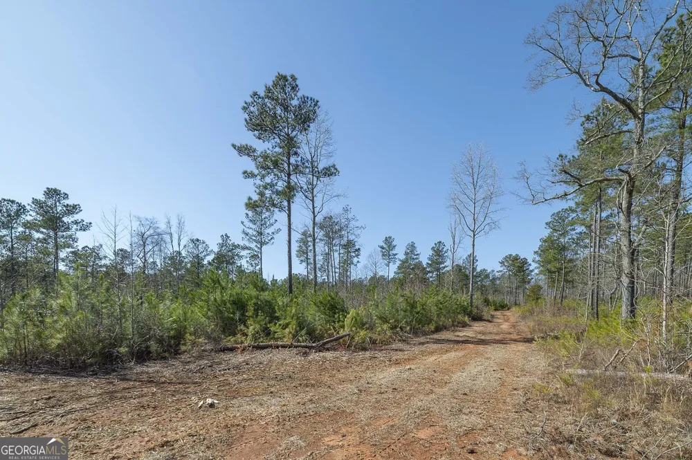 0 Dean Patrick RD Jackson, GA 30233