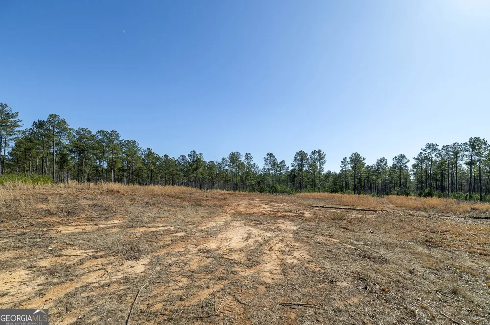 0 Dean Patrick RD Jackson, GA 30233