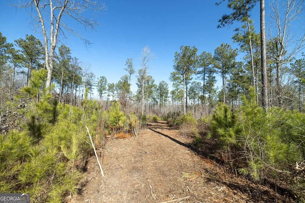 0 Dean Patrick RD Jackson, GA 30233