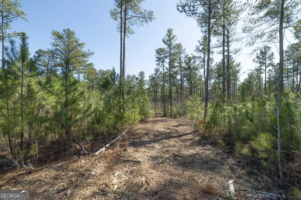 0 Dean Patrick RD Jackson, GA 30233