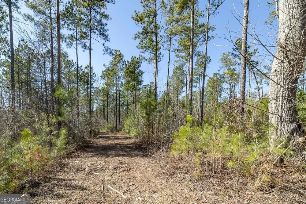 0 Dean Patrick RD Jackson, GA 30233
