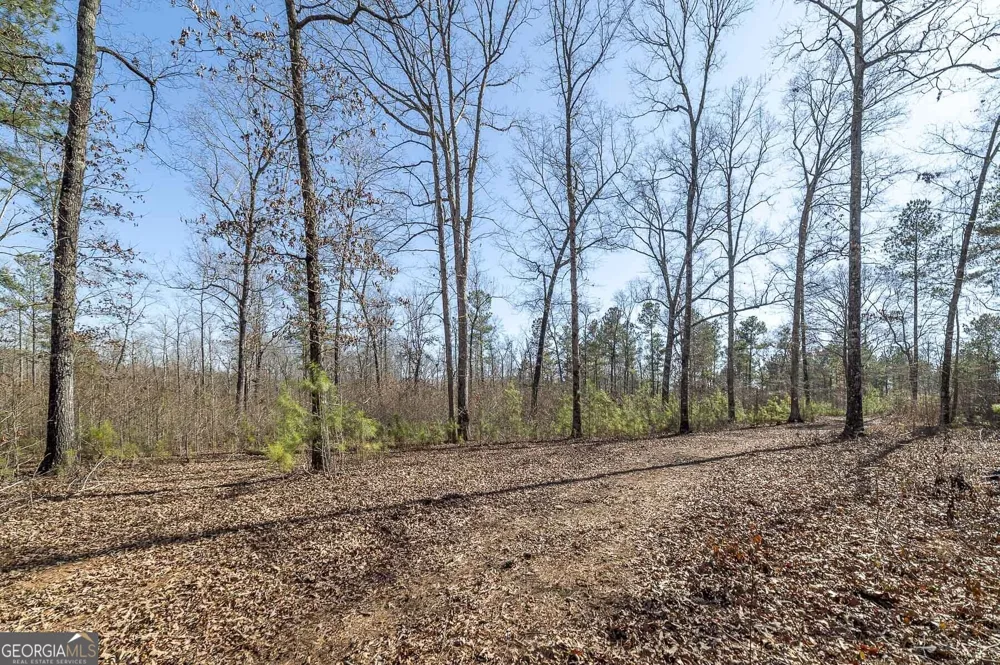 0 Dean Patrick RD Jackson, GA 30233
