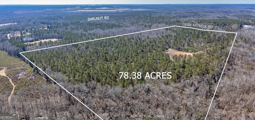 0 Dean Patrick RD Jackson, GA 30233