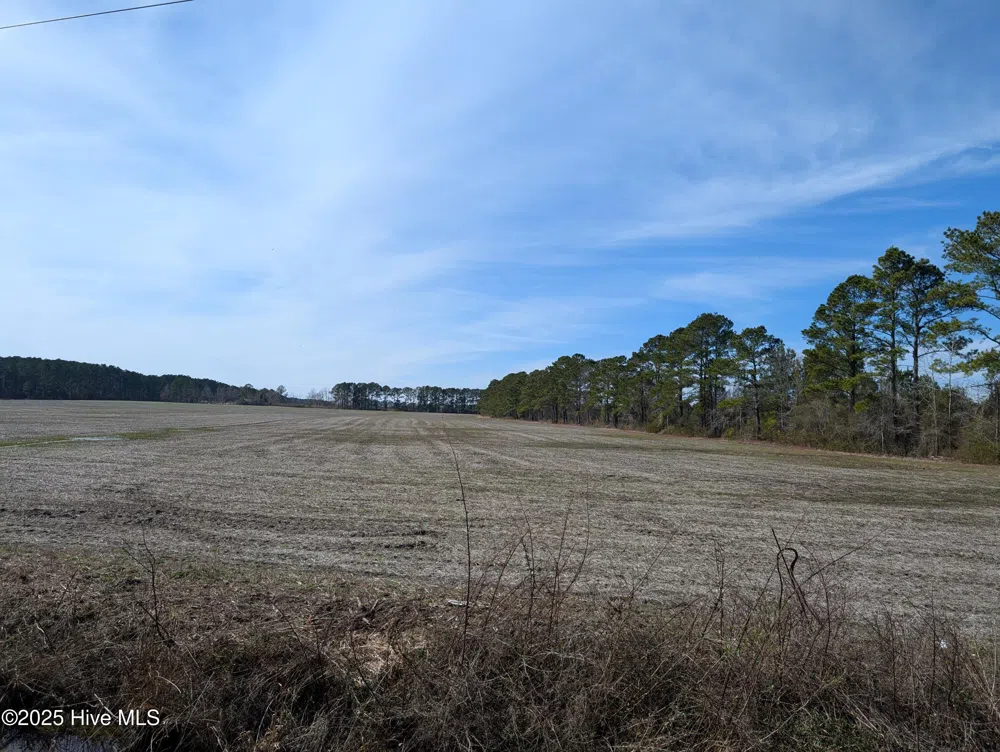 522 Plum Nearly Lane Trenton, NC 28585