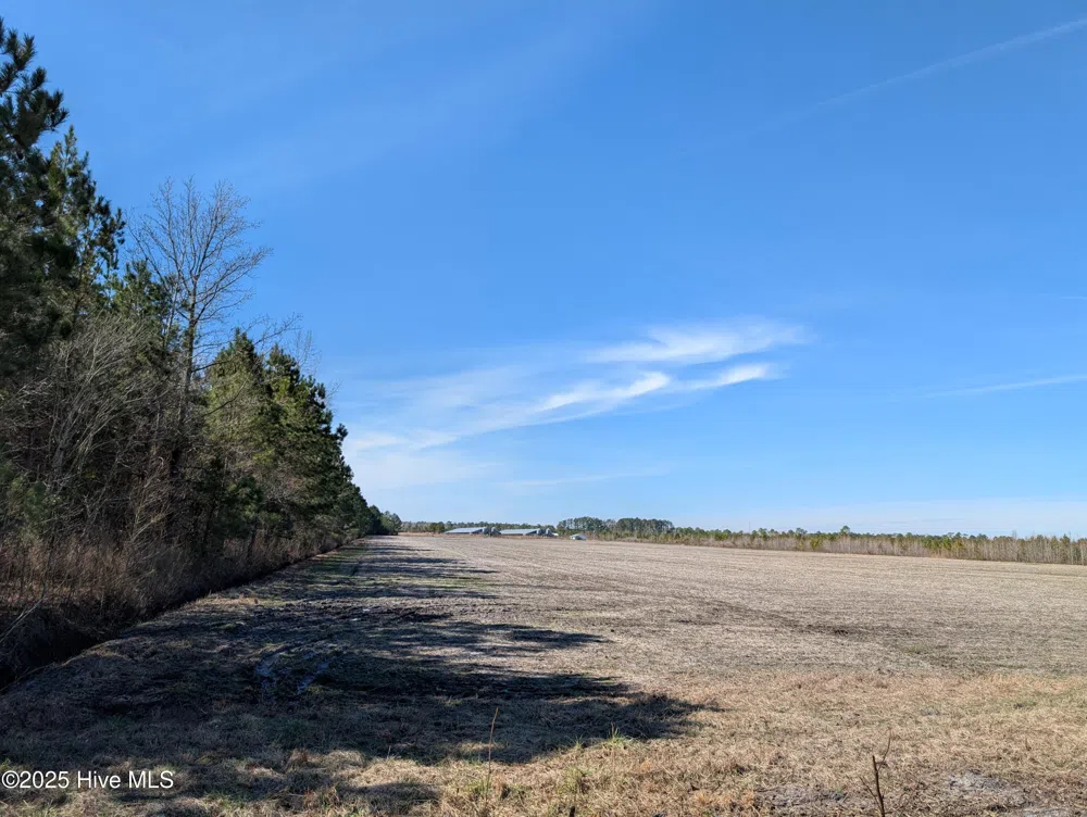 522 Plum Nearly Lane Trenton, NC 28585