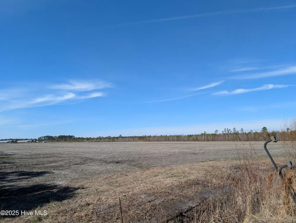 522 Plum Nearly Lane Trenton, NC 28585
