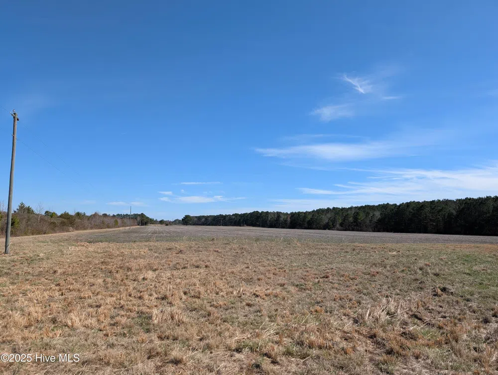 522 Plum Nearly Lane Trenton, NC 28585