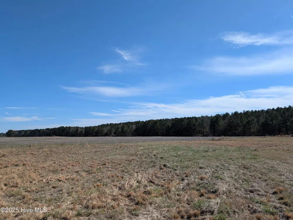 522 Plum Nearly Lane Trenton, NC 28585