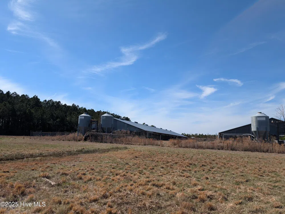 522 Plum Nearly Lane Trenton, NC 28585