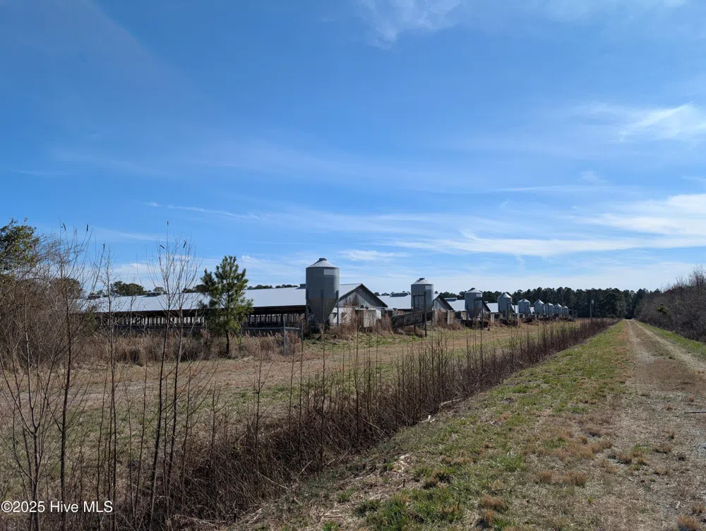 522 Plum Nearly Lane Trenton, NC 28585