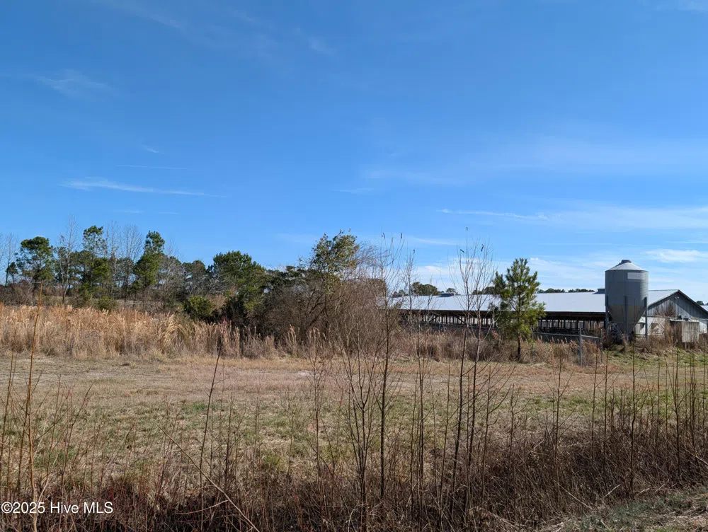 522 Plum Nearly Lane Trenton, NC 28585