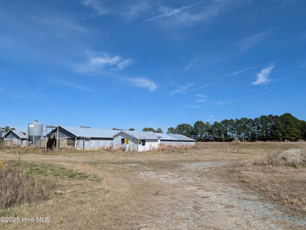 522 Plum Nearly Lane Trenton, NC 28585