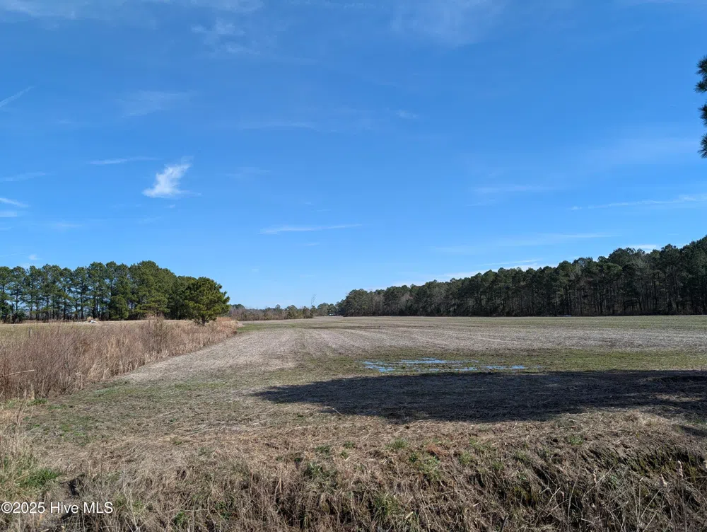 522 Plum Nearly Lane Trenton, NC 28585