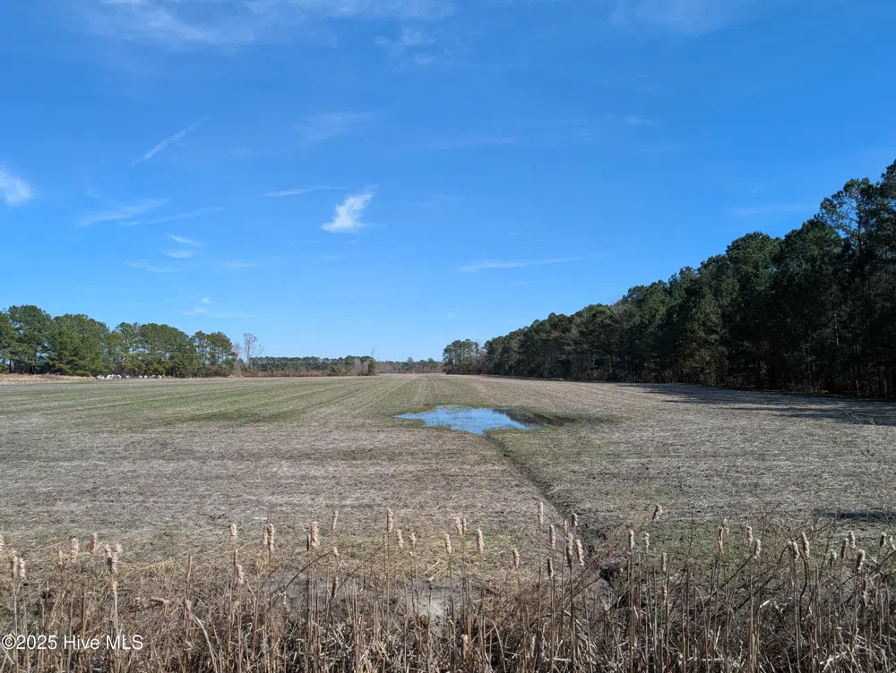 522 Plum Nearly Lane Trenton, NC 28585