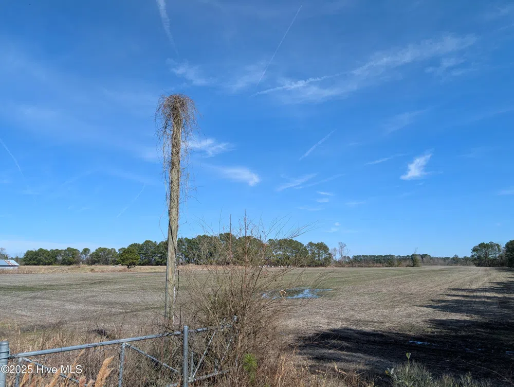 522 Plum Nearly Lane Trenton, NC 28585