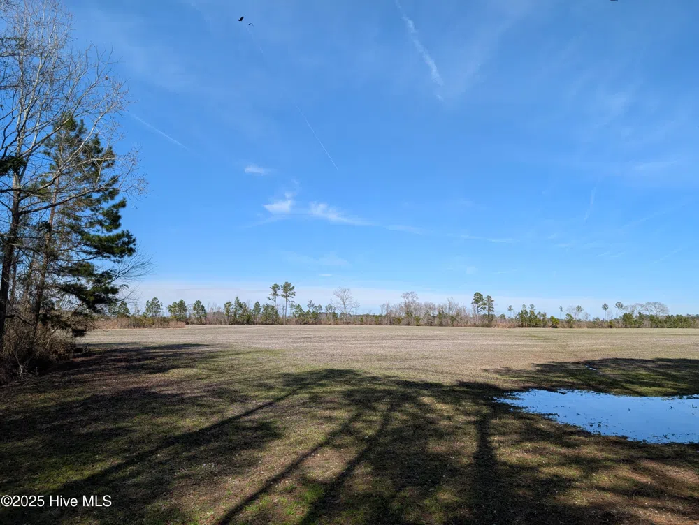 522 Plum Nearly Lane Trenton, NC 28585