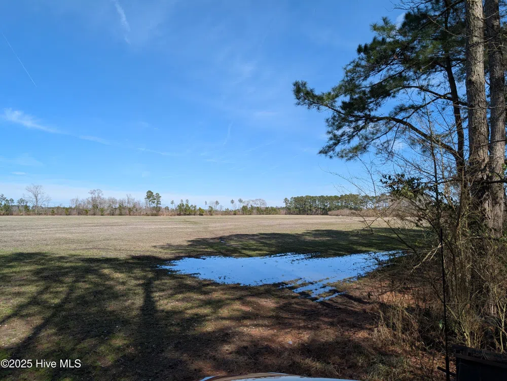 522 Plum Nearly Lane Trenton, NC 28585