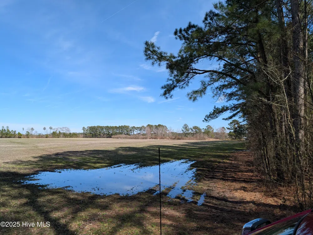 522 Plum Nearly Lane Trenton, NC 28585