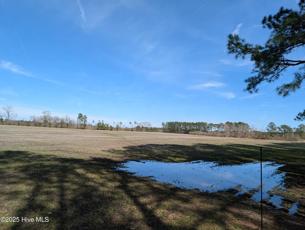 522 Plum Nearly Lane Trenton, NC 28585