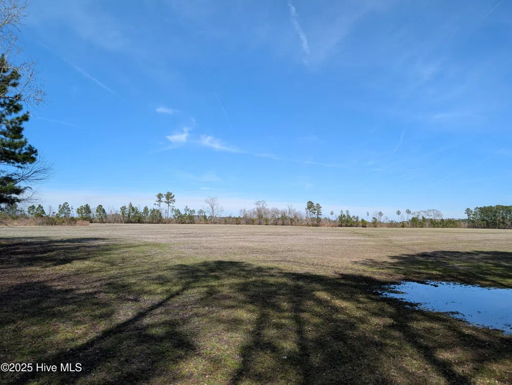522 Plum Nearly Lane Trenton, NC 28585