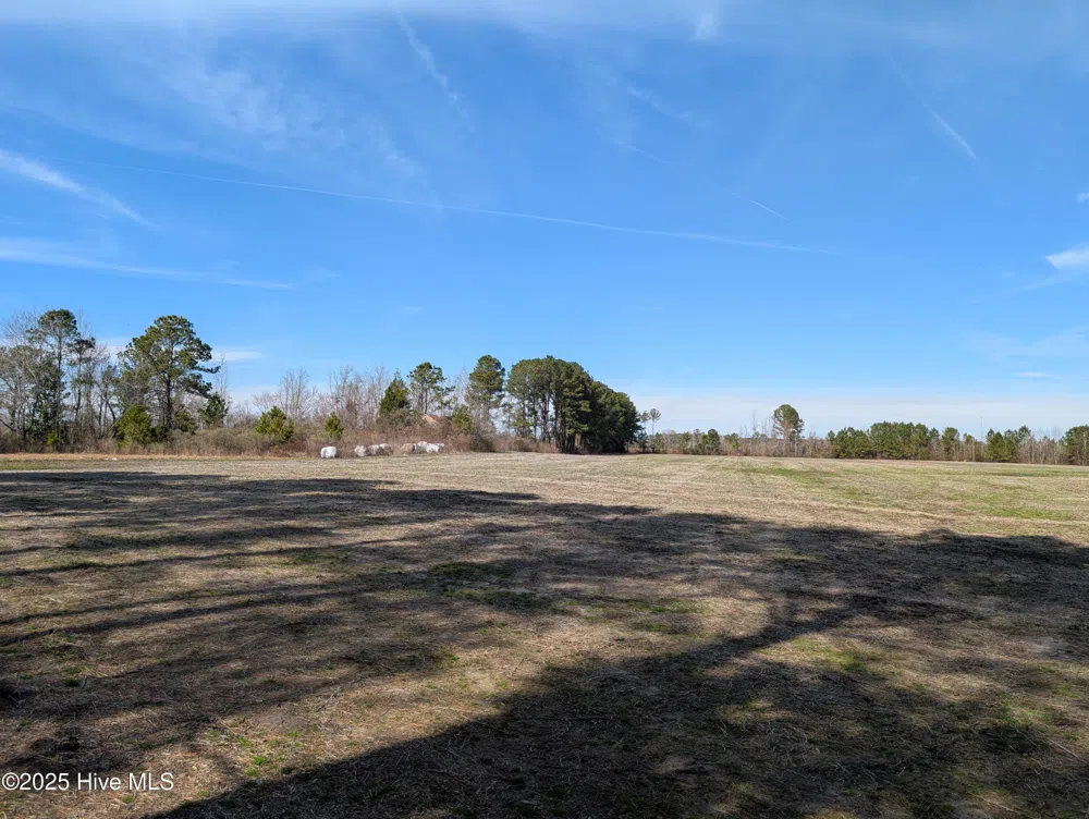 522 Plum Nearly Lane Trenton, NC 28585