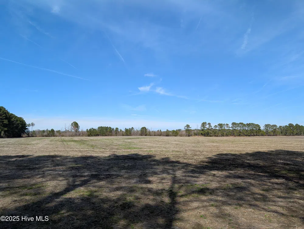 522 Plum Nearly Lane Trenton, NC 28585