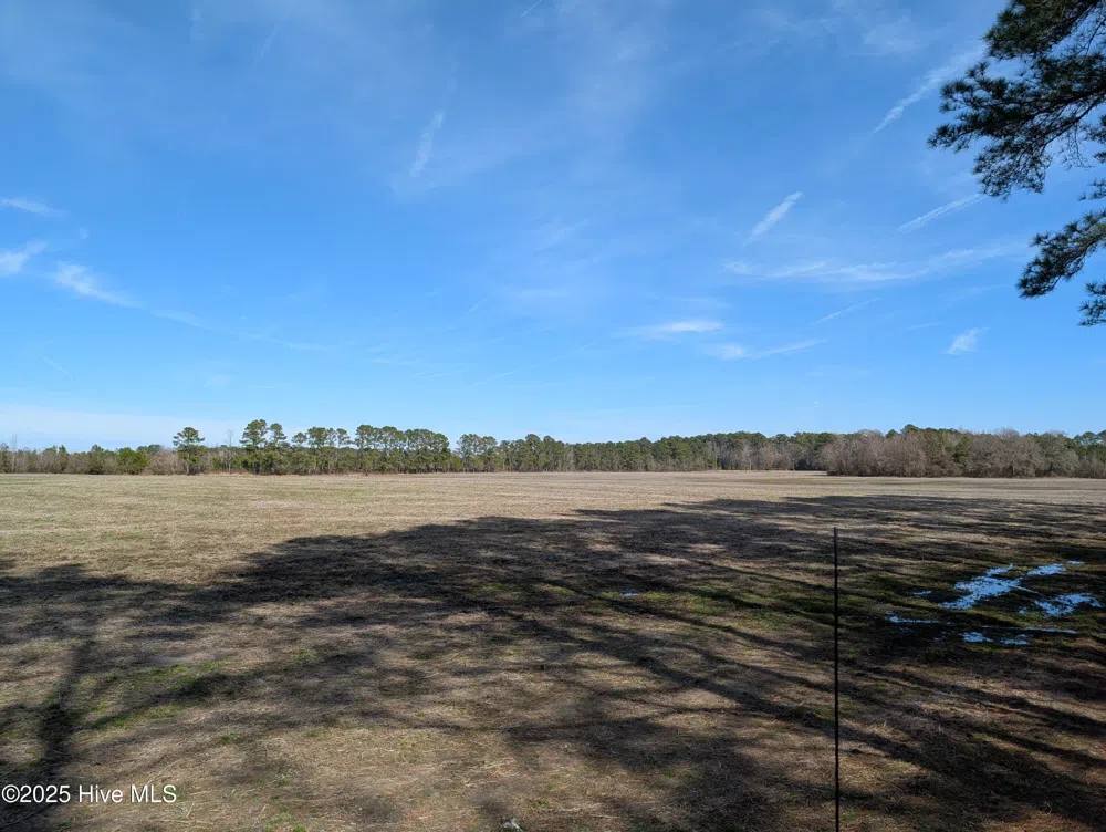 522 Plum Nearly Lane Trenton, NC 28585