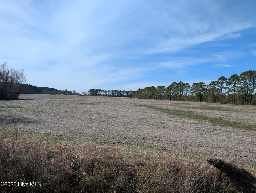 522 Plum Nearly Lane Trenton, NC 28585