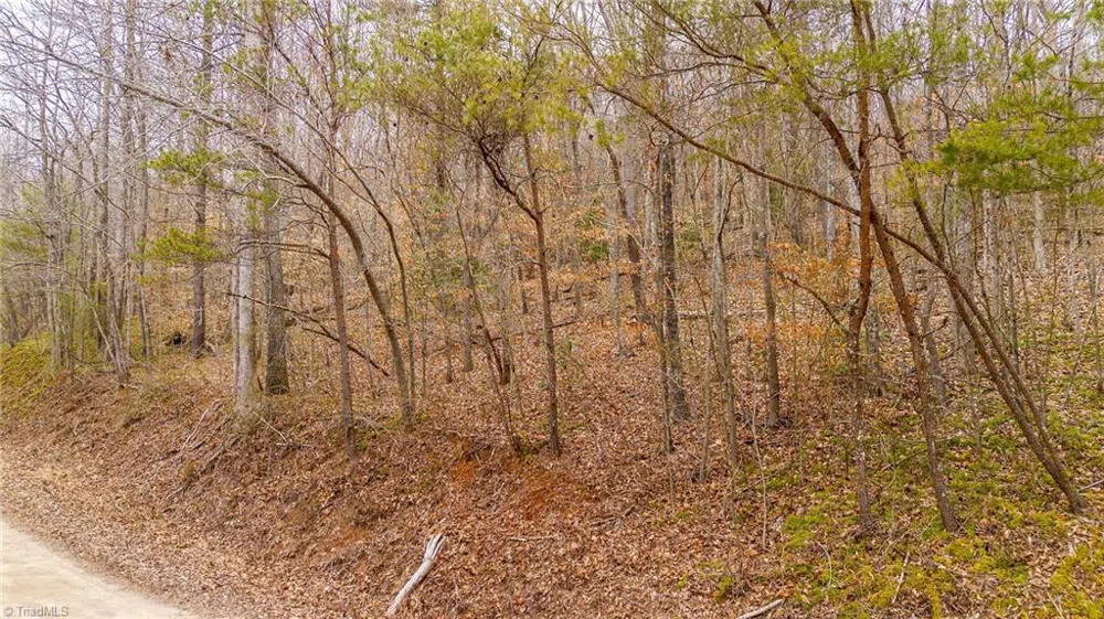 TBD E Brocktown Road Moravian Falls, NC 28654