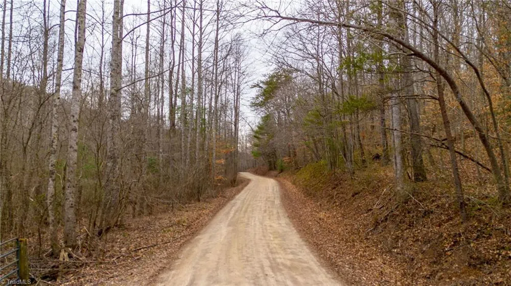 TBD E Brocktown Road Moravian Falls, NC 28654