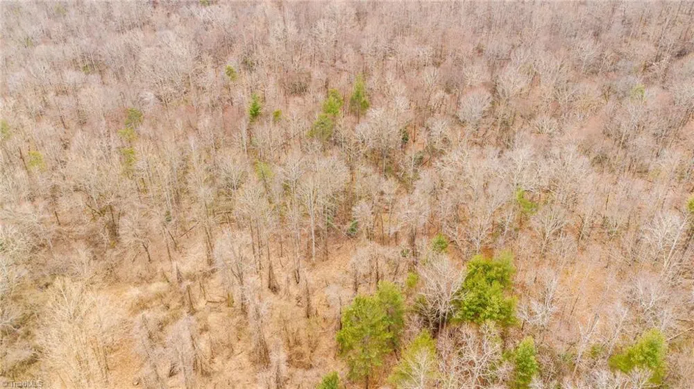 TBD E Brocktown Road Moravian Falls, NC 28654